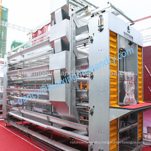 Automatic poultry farming equipments for chicken